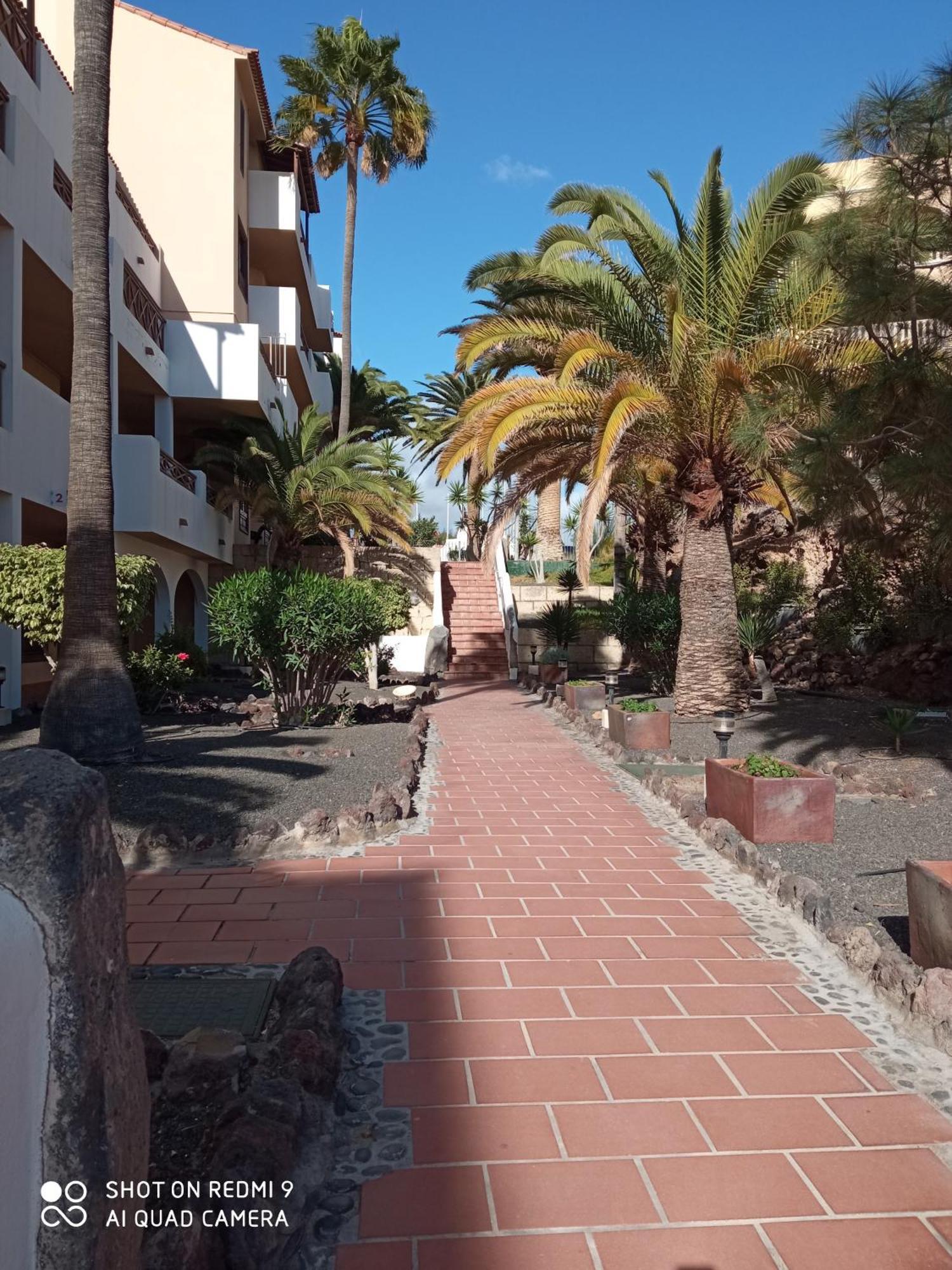 Las Meninas Tenerife Сан Мигель Номер фото