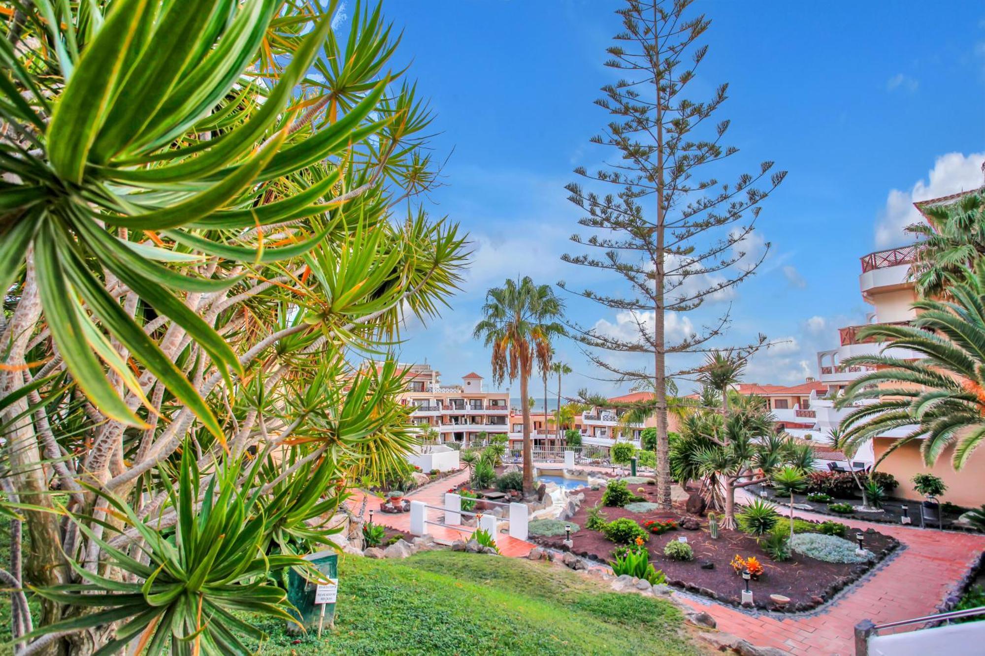 Las Meninas Tenerife Сан Мигель Экстерьер фото
